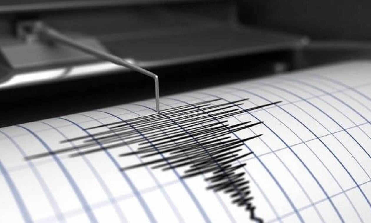 seismos11