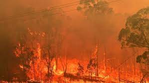 Ιταλία-Φωτιές: Πάνω από 200.000 στρέμματα γης κάηκαν στη Σαρδηνία | ΣΚΑΪ